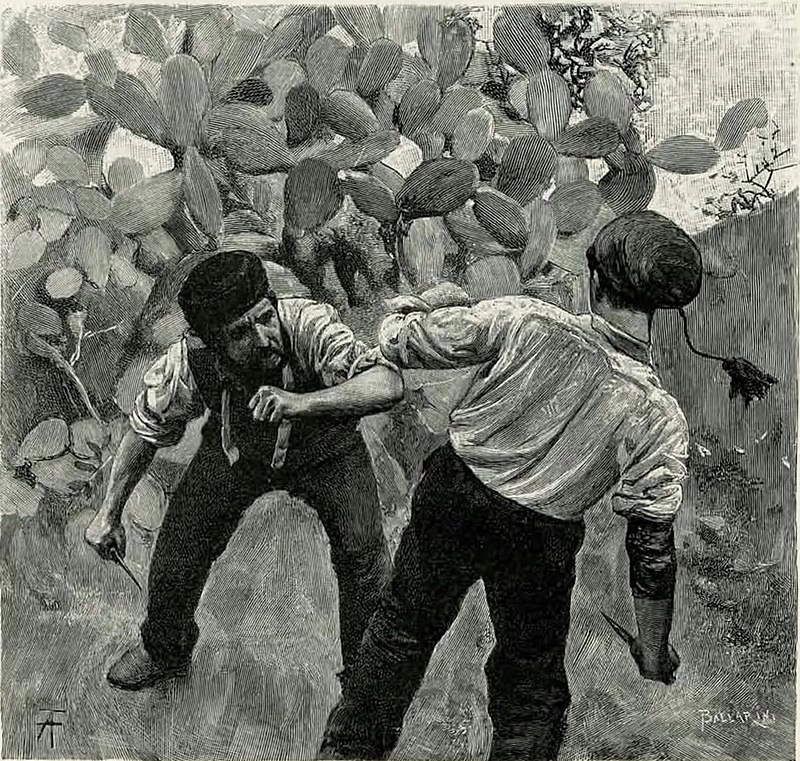 Verga - Vita dei campi, Treves, 1897 22